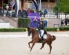 FEI European Championship 2...