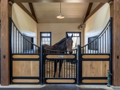 Dal 2026 certificato obbligatorio per i cavalli atleti: tutela del benessere o nuovo costo per i proprietari?