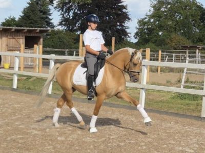 Giovanni Rossoni accoglie in scuderia Dieser Moment