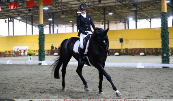 Al via le iscrizioni ai Trofei Italiani e al nuovo Best Rider di Dressage: ultimo appuntamento federale della stagione