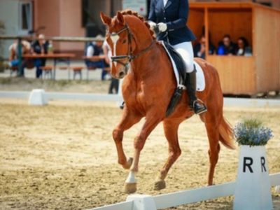 No scuse… ma soluzioni!