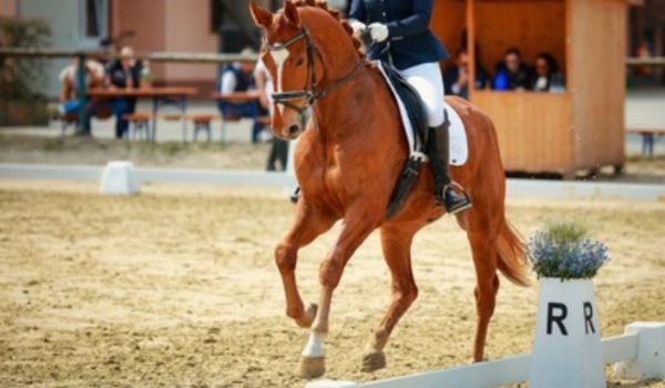 No scuse… ma soluzioni!