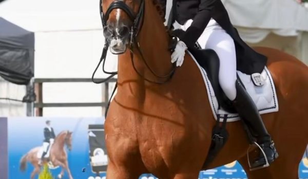 Cerano Gold apre un nuovo capitolo: affidato a una giovane amazzone britannica