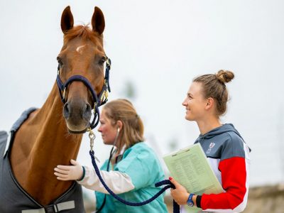 Certificato di idoneità sportiva dei cavalli atleti: controlli FISE dal 1° luglio 2026