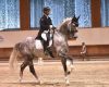 Dressage: approvato il Prog...