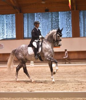 Dressage: approvato il Programma Sportivo 2026, focus su giovani talenti e alto livello