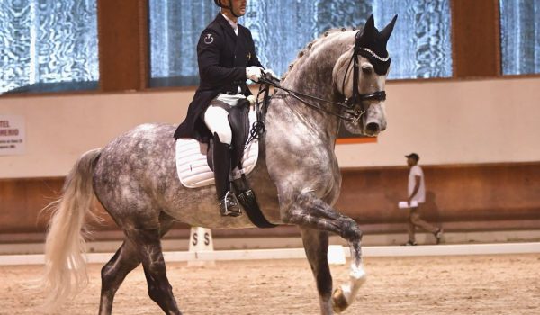 Dressage: approvato il Programma Sportivo 2026, focus su giovani talenti e alto livello