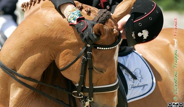 Addio a Chablis, il “Biondo” che ha fatto sognare il dressage italiano