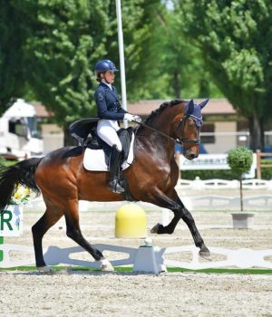 CDI-W Motesice e Jerez de la Fronter: tutti gli azzurri in gara