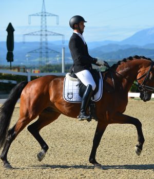 Mary Hanna investe sul futuro: arriva Golia Di Fonteabeti