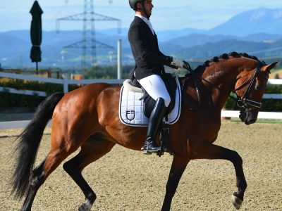 Mary Hanna investe sul futuro: arriva Golia Di Fonteabeti