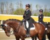 CDI3* Bedizzole: esordio in...