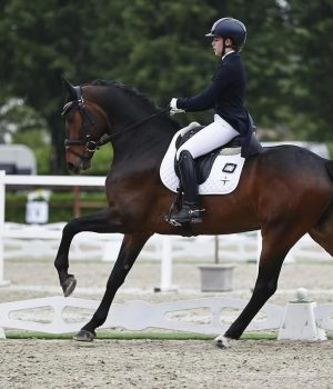 Dressage: Camilla Maniezzi in gara a Gossendorf a caccia della qualifica europea