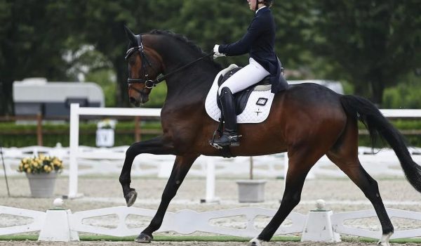 Dressage: Camilla Maniezzi in gara a Gossendorf a caccia della qualifica europea