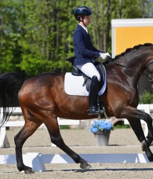 Dressage: azzurri in gara all’International Festival di Máriakálnok