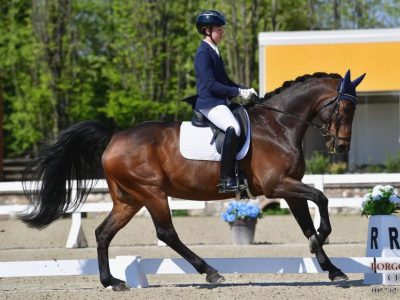 Dressage: azzurri in gara all’International Festival di Máriakálnok