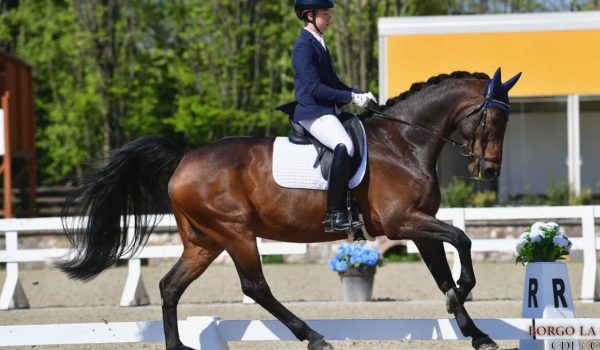 Dressage: azzurri in gara all’International Festival di Máriakálnok