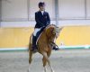 Dressage: quattro giovani a...