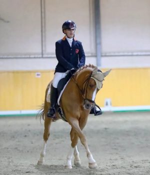 Dressage: quattro giovani azzurri in gara a Stadl Paura