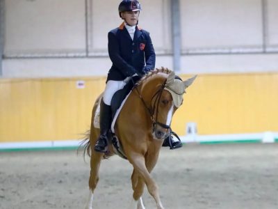 Dressage: quattro giovani azzurri in gara a Stadl Paura