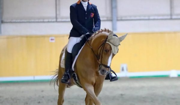 Dressage: quattro giovani azzurri in gara a Stadl Paura