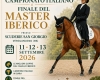 Dressage Master: finale ita...