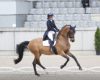 Aachen Dressage Days 2026: ...