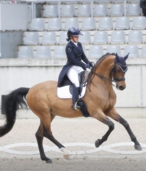 Aachen Dressage Days 2026: Matteo Borghesi protagonista nel tempio dell’equitazione