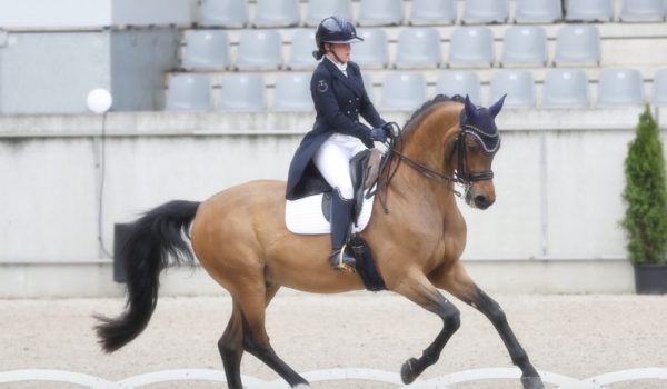 Aachen Dressage Days 2026: Matteo Borghesi protagonista nel tempio dell’equitazione