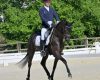 Dressage giovani cavalli: T...