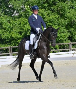 Dressage giovani cavalli: Training Day federale a Verolanuova