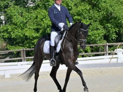 Dressage giovani cavalli: Training Day federale a Verolanuova