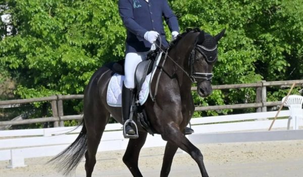 Dressage giovani cavalli: Training Day federale a Verolanuova