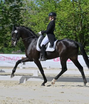 Master d’Italia Dressage 2026: tutti i podi del Centro Nord e Centro Sud