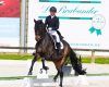 Future Champions di Hagen: ...