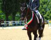 <strong>Europei Dressage 20...