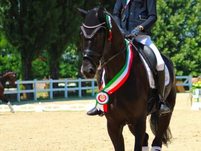 Europei Dressage 2026: ufficializzate le iscrizioni nominative degli azzurri