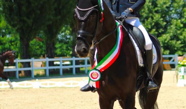 Europei Dressage 2026: ufficializzate le iscrizioni nominative degli azzurri
