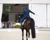 Europei Dressage 2026: la s...