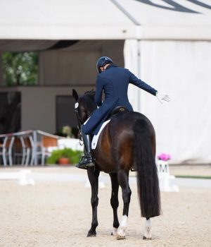 Europei Dressage 2026: la situazione qualifiche dopo Lipica. Verolanuova ultimo atto prima delle convocazioni