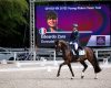 Europei Young Rider e Under...