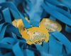Ponyadi KEP Italia 2026: il...