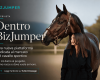 BizJumper: una nuova piatta...