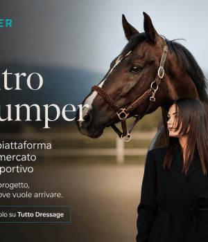 BizJumper: una nuova piattaforma per mettere in contatto chi cerca e chi vende cavalli sportivi
