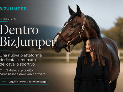 BizJumper: una nuova piattaforma per mettere in contatto chi cerca e chi vende cavalli sportivi