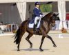 Ranking FEI di agosto: Borg...