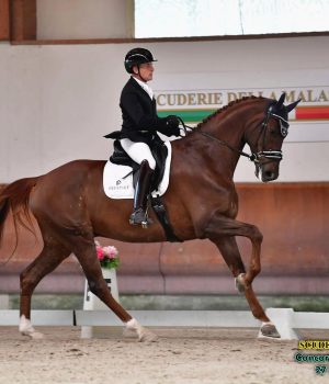 Giovani Cavalli: nuovo Training Day a Ornago in vista dei Campionati Italiani