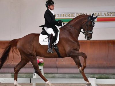 Giovani Cavalli: nuovo Training Day a Ornago in vista dei Campionati Italiani