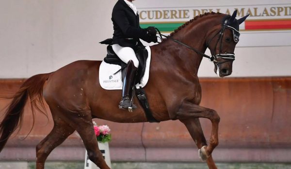 Giovani Cavalli: nuovo Training Day a Ornago in vista dei Campionati Italiani
