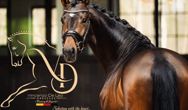 DLV Dressage Stable: dalla Calabria un progetto allevatoriale che guarda al futuro del dressage